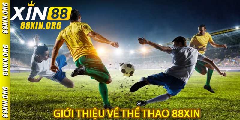 Thể Thao 88XIN